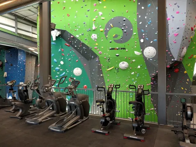 The Spot Climbing Gym