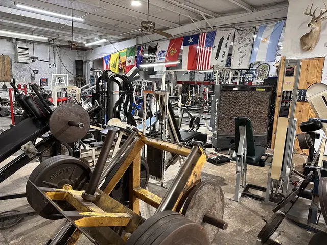 Metroflex Gym Arlington