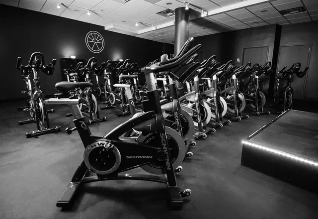 REPFIT Studio