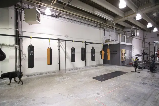 UNDISPUTED BOXING