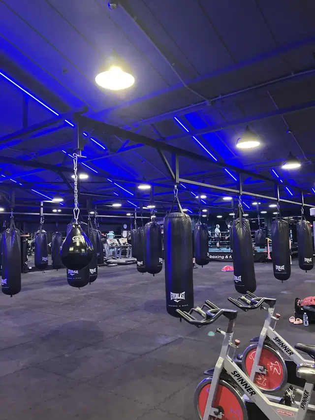 Pursuit Boxing and Fitness