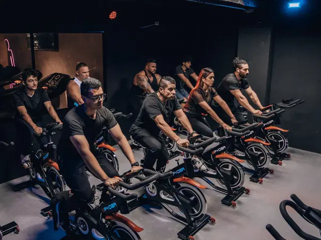 Elite House Gym