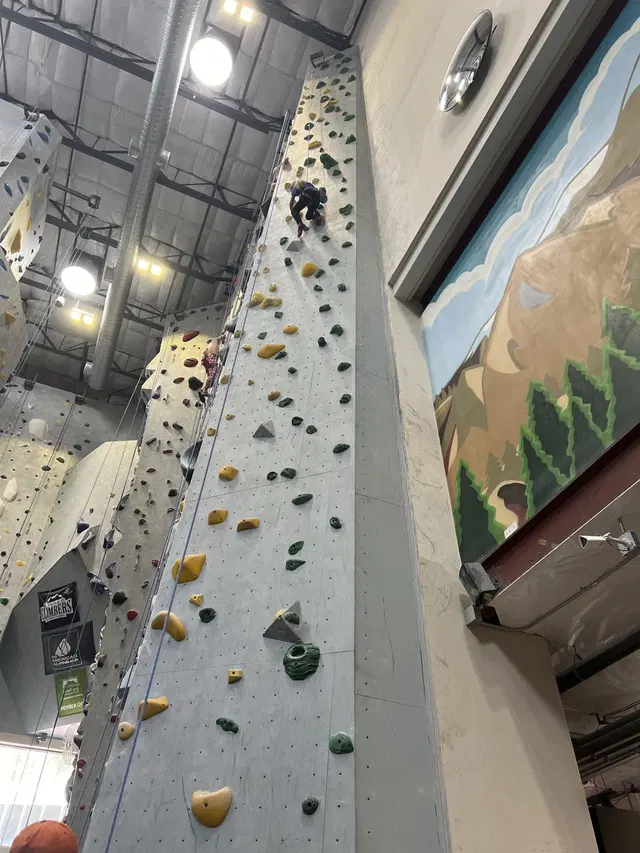 Mesa Rim Climbing Center (Mission Valley)