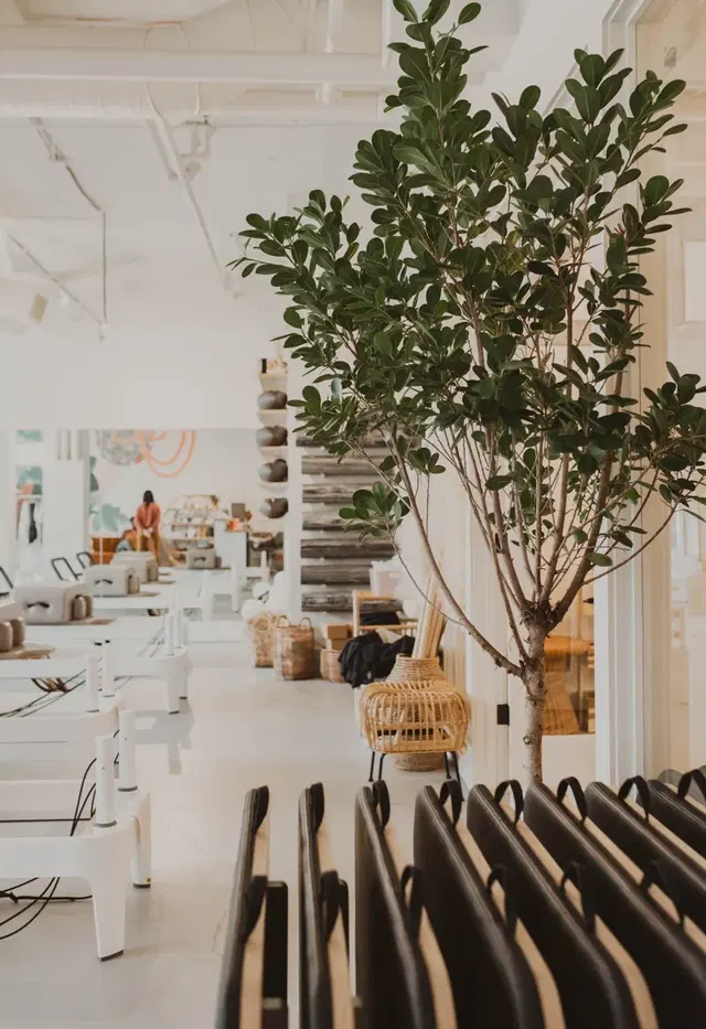 The Pilates Hub