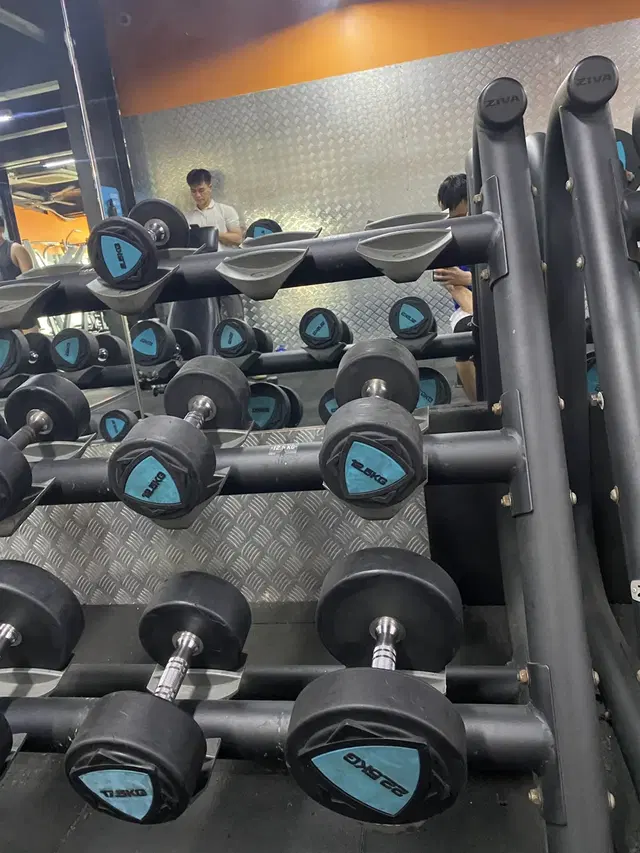 The New Gym