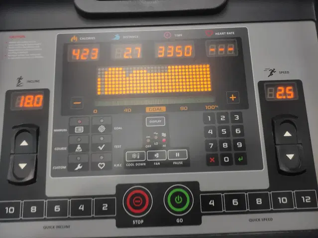 The New Gym
