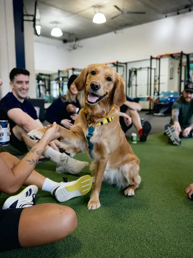 The Program Fitness (Gym)