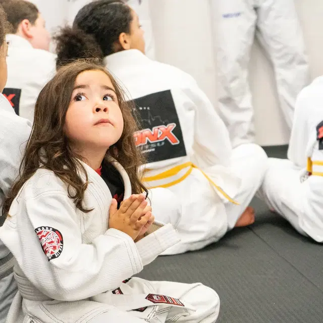 Bronx Jiu-Jitsu