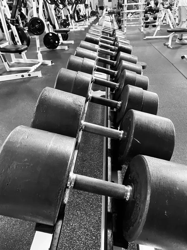 Results Fitness
