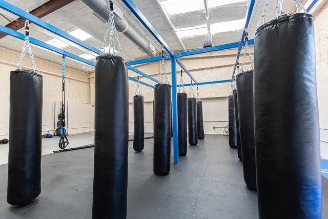 Renegade Roots Thai Boxing Club