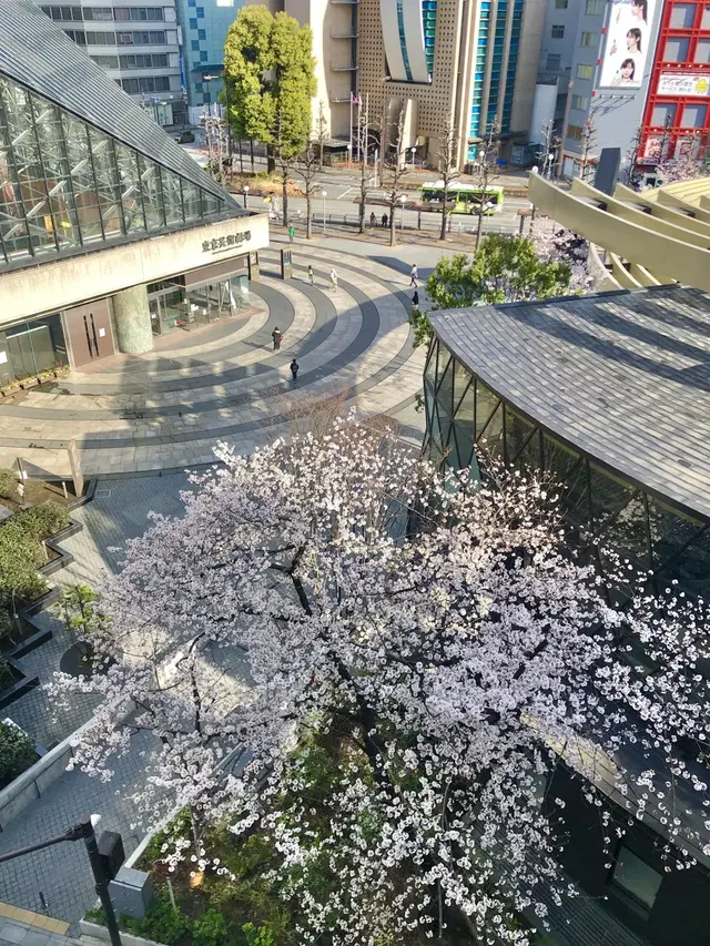 Feelcycle Ikebukuro