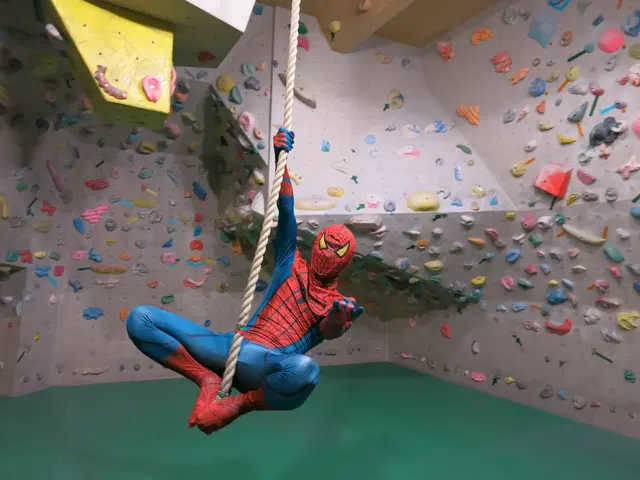 Rainbow Cliff - Sport Climbing Gym