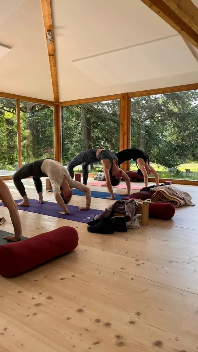 Cam's Yoga ‍ ️ ️- Studio Yoga En Ligne