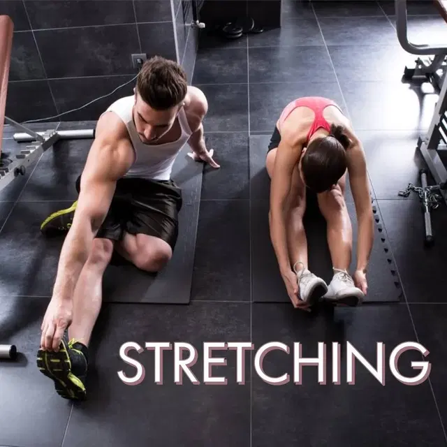 Ever Fitness