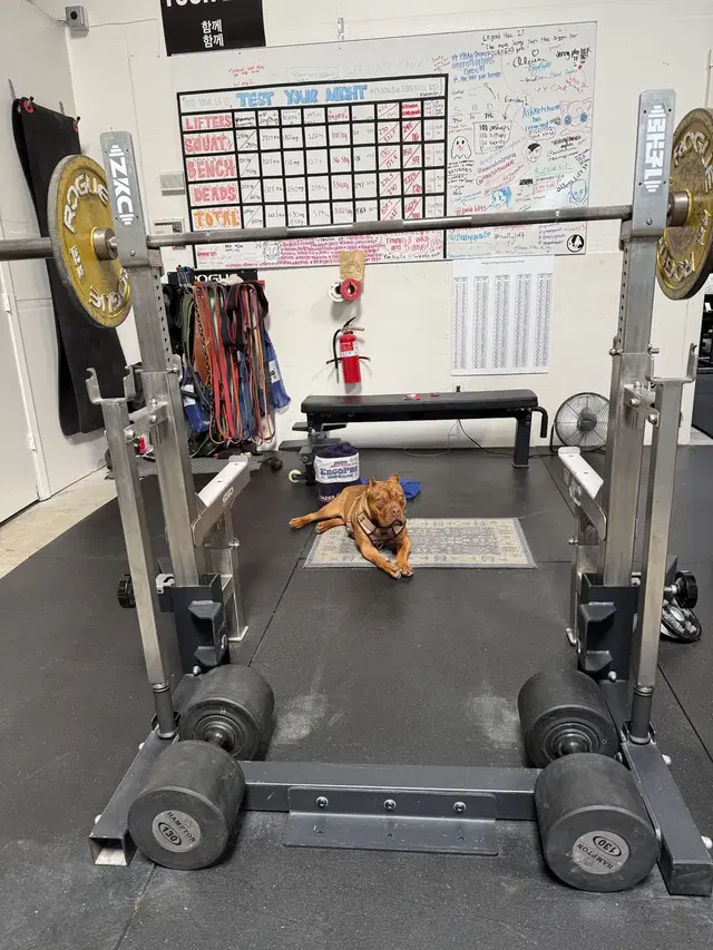 Peninsula Barbell