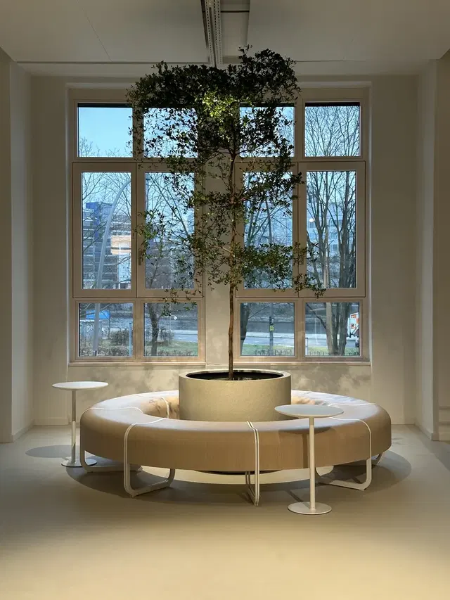 Balance Soul Studio Berlin
