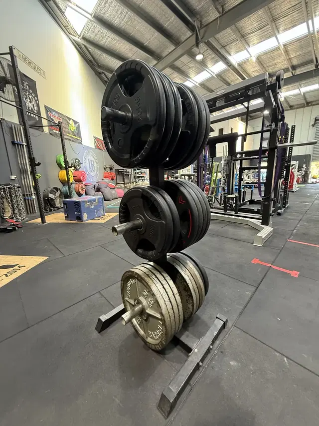 Iron Revolution Gym