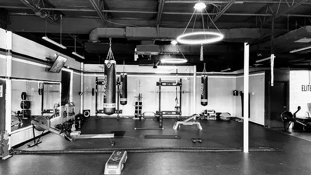 Elite Bodies, LLC