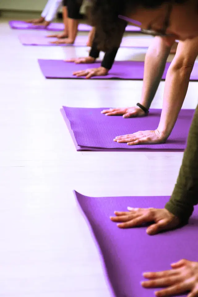 The Yoga Garden