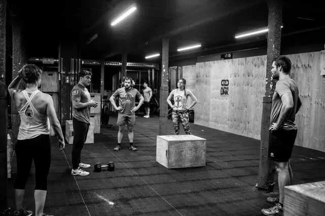 Alpha Link CrossFit