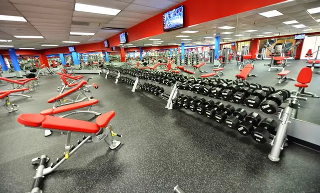 Fitness Nation