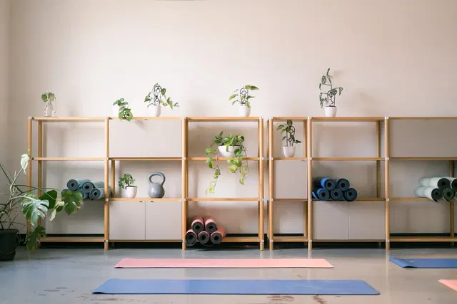 Conscious Combat Club