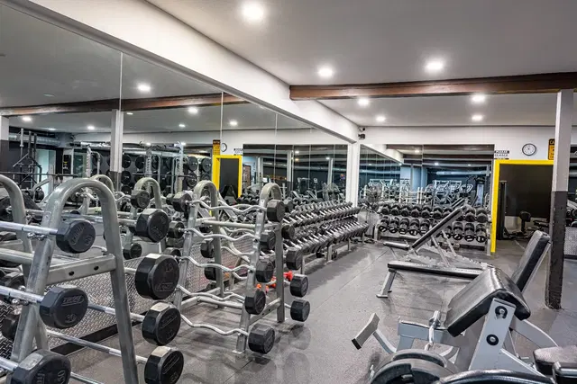 The Forge 24/7 Fitness