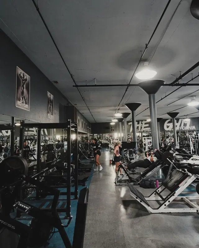 The Gym