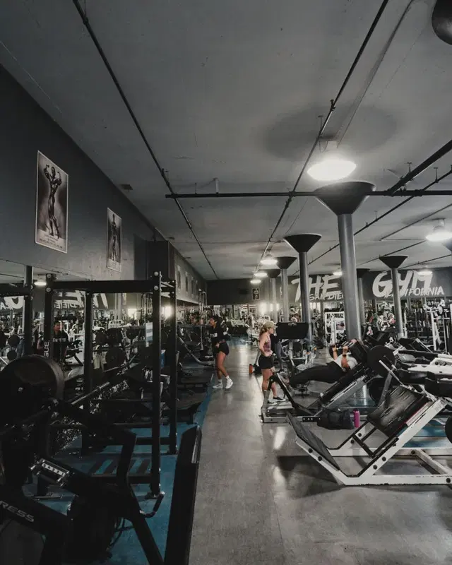 The Gym