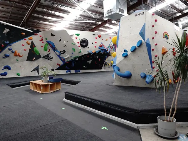 Urban Climb Collingwood