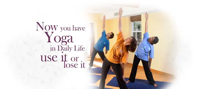 Yoga In Daily Life Alexandria