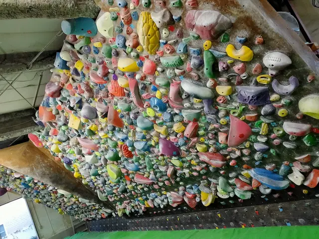 Quail Climbing Gym
