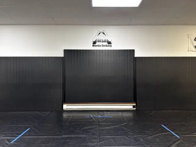 Martin Striking Academy