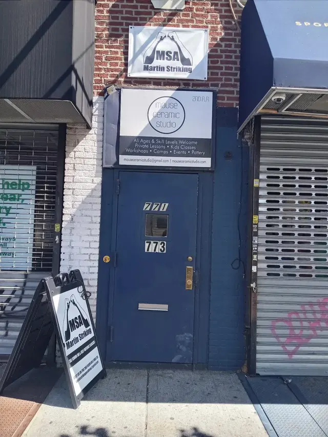 Martin Striking Academy
