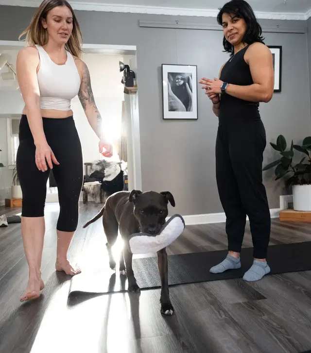 Strength Training DC