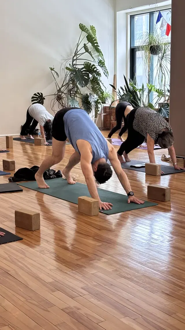 Ashtanga Yoga Montreal