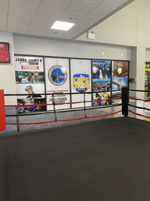 Starrett City Boxing