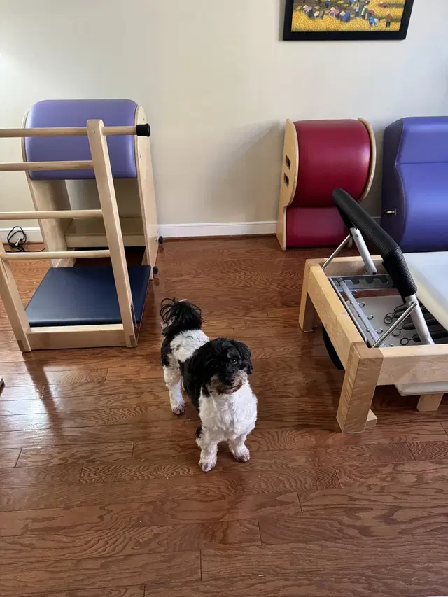 Spring and Spine Pilates