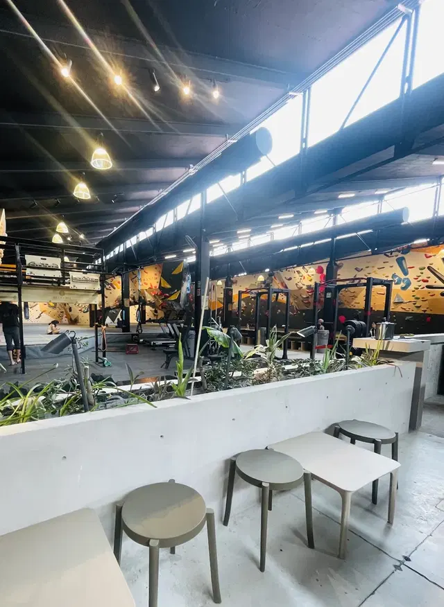 Adamanta Del Valle - Climbing Gym