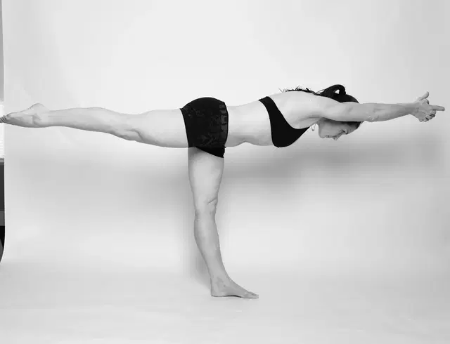 Hot Yoga Tysons