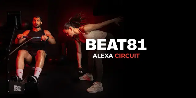 BEAT81 Alexa CIRCUIT