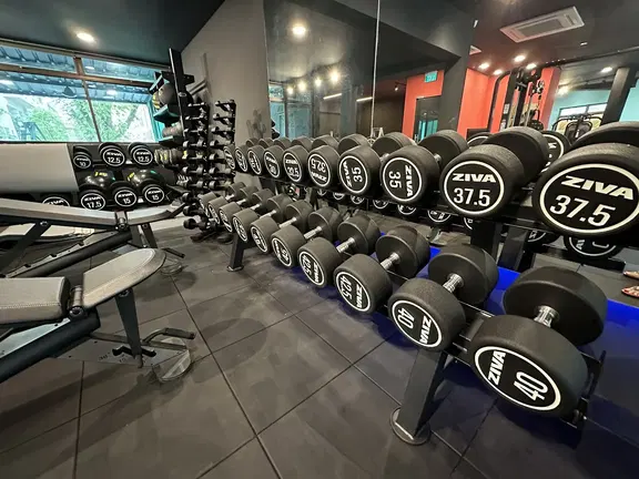 GoFit Great World