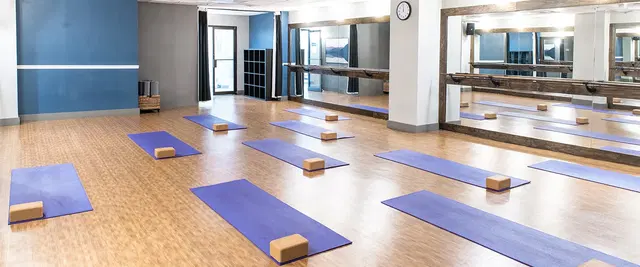 Onelife Fitness - Skyline