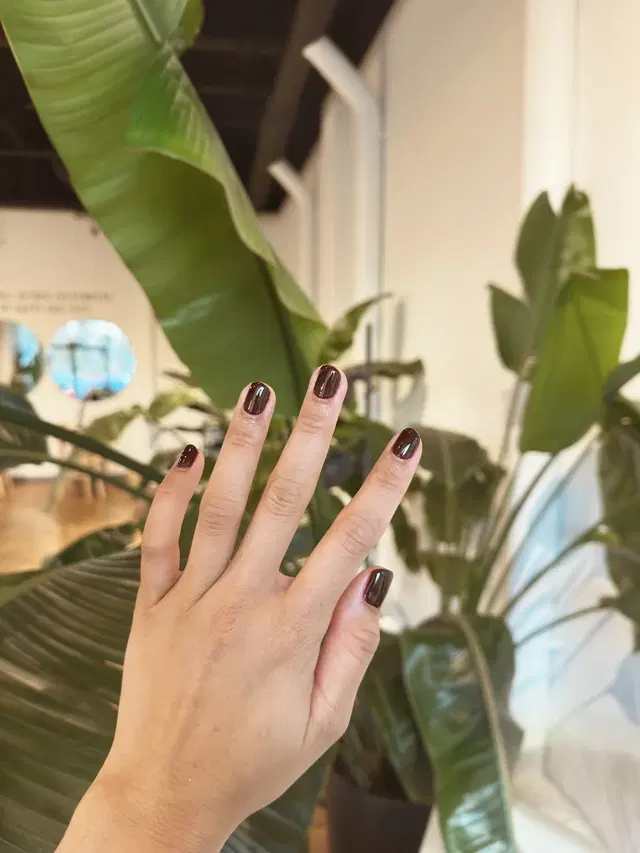 MIYU Beauty & Wellbeing - Falls Church