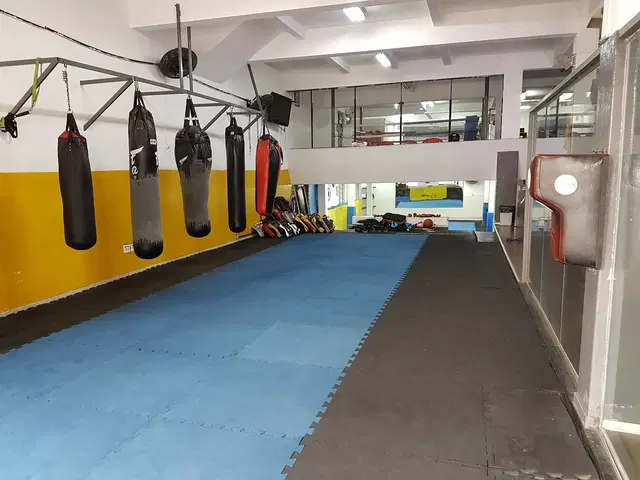 Academia Versus Fight Club