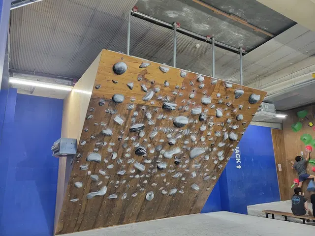 Rocky Climbing & Fitness Gym Shinjuku-Akebonobashi