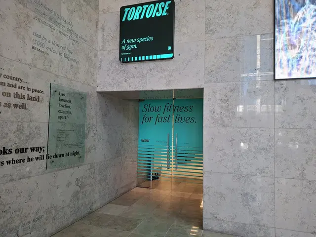 Tortoise Gym Auckland CBD