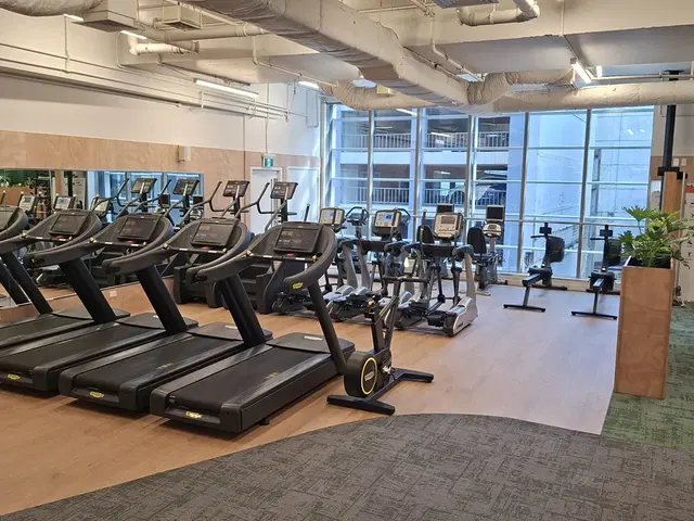 Tortoise Gym Auckland CBD