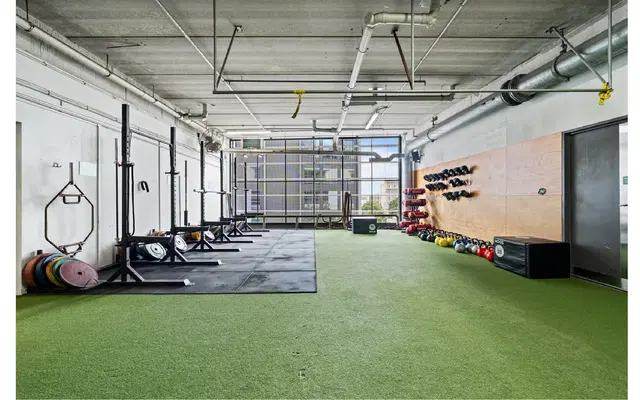Tortoise Gym Auckland CBD