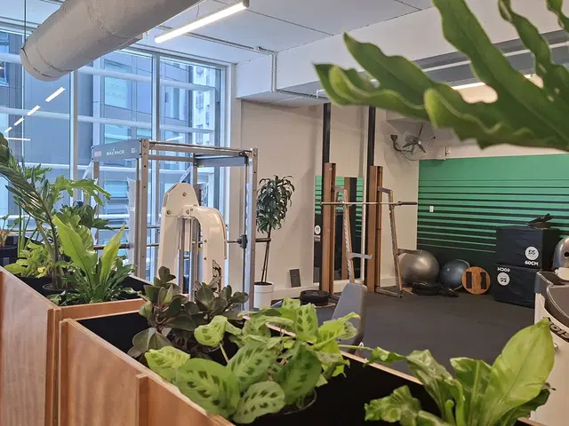 Tortoise Gym Auckland CBD